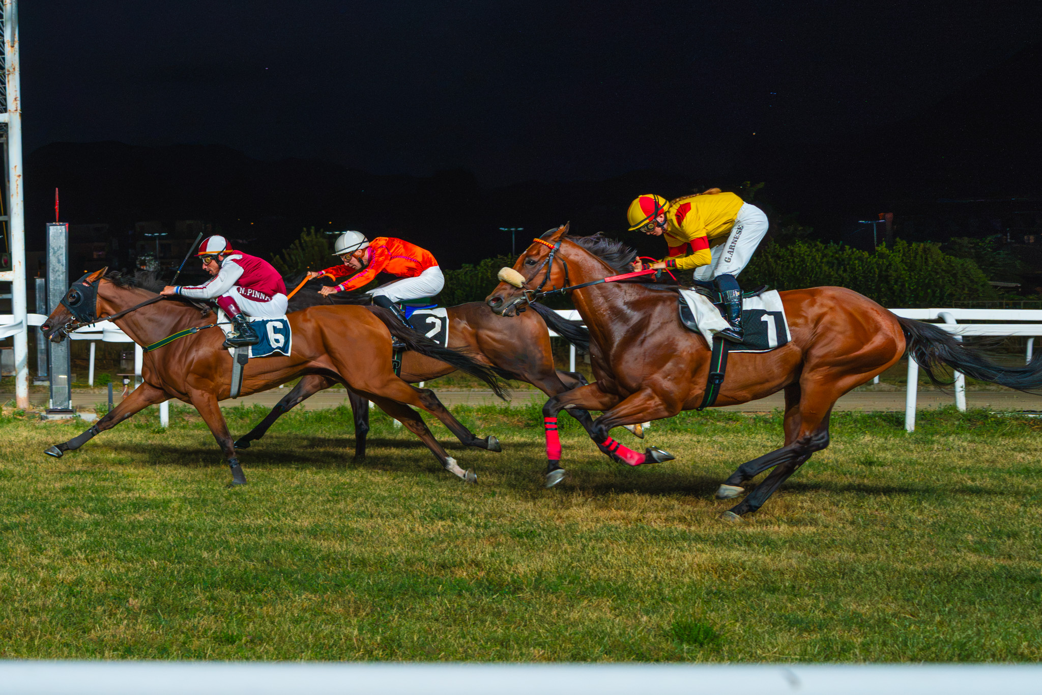 Emozioni e sfide avvincenti al Varese Park Racecourse