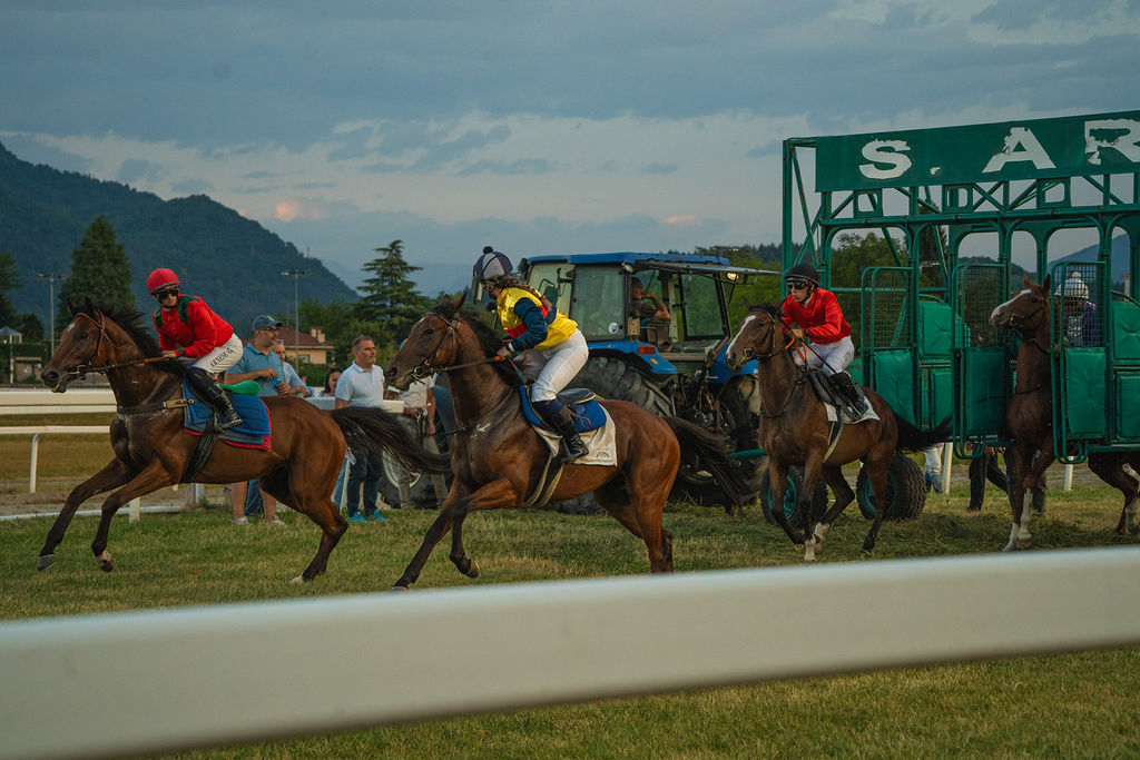 VTS_Ippodromo Varese Park Racecourse_5