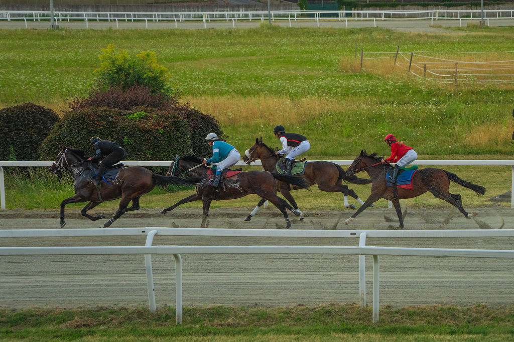 Varese Park Racecourse - Ippodromo Le Bettole