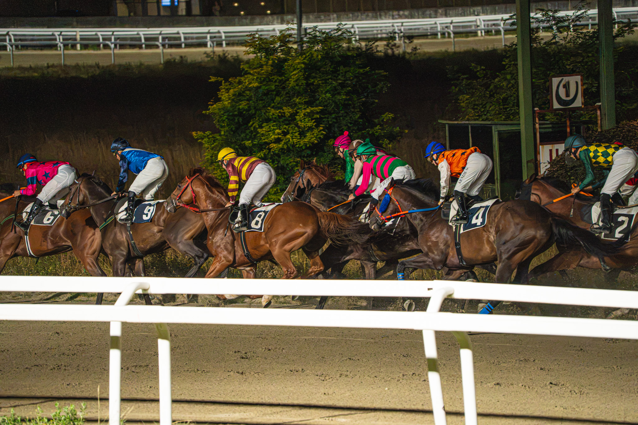 VTS_Ippodromo Varese Park Racecourse