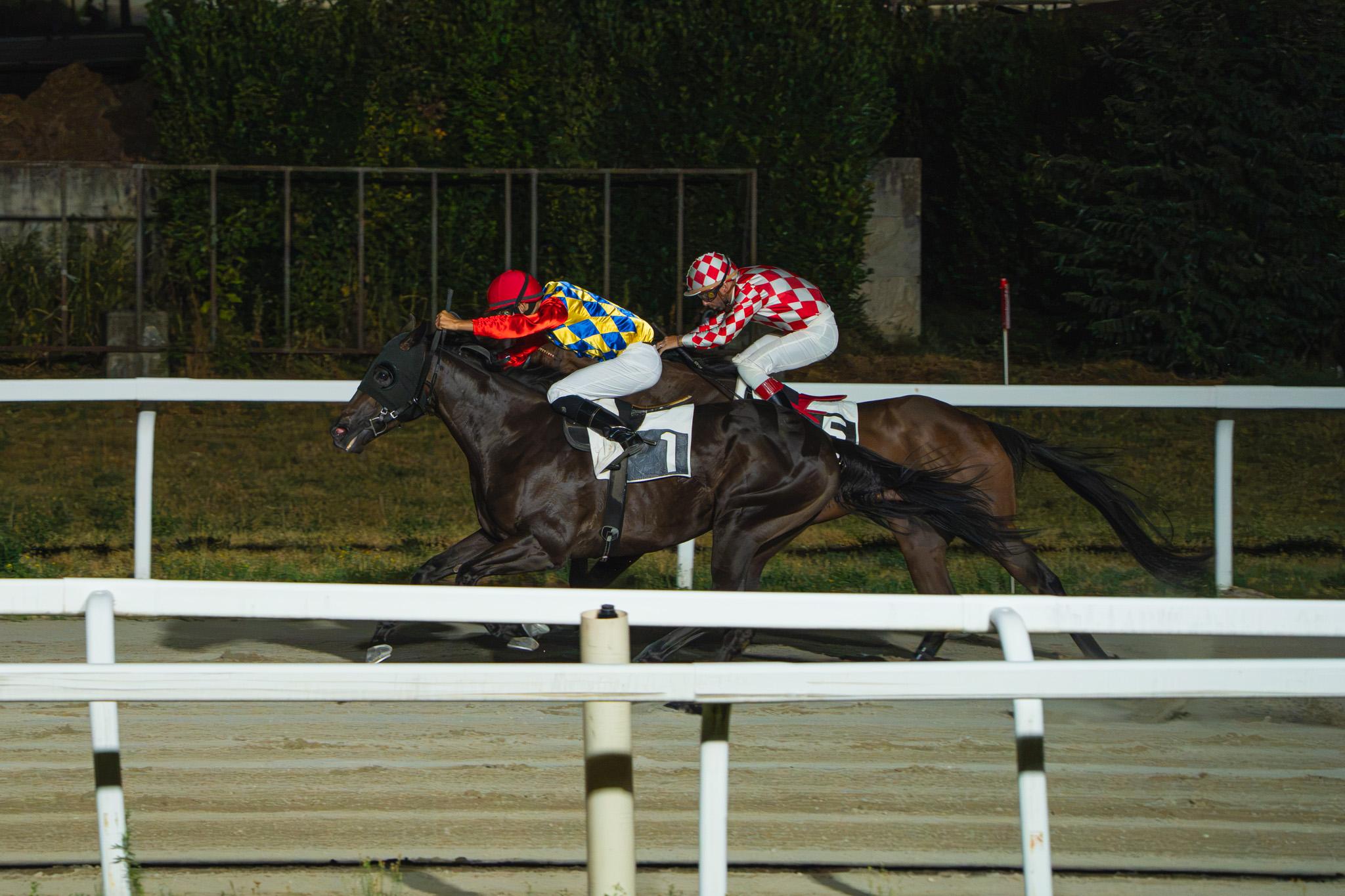 Ippodromo Varese Park RacecourseDSC07853