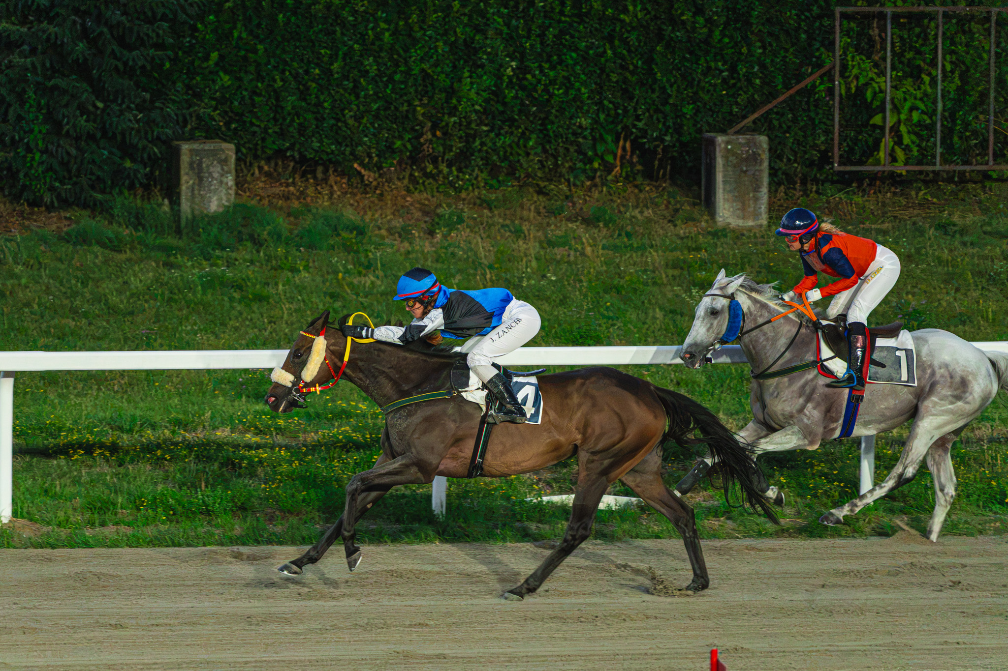 corse_Varese Park Racecourse